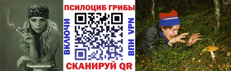 даркнет сайт  Кудрово  Галлюциногенные грибы мухоморы 