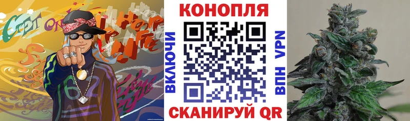 мориарти как зайти  МЕГА как войти  Кудрово  Бошки Шишки White Widow 